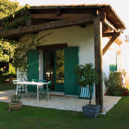 Le Clos De St Paul La Colle-sur-Loup Eksteriør bilde